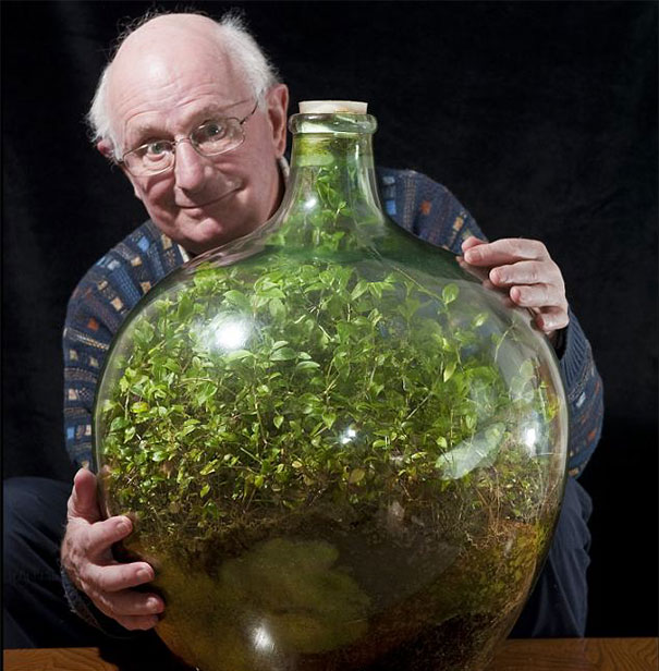 David Latimer’s terrarium hasn’t been watered in 47 years. Photo: www.dailymail.co.uk