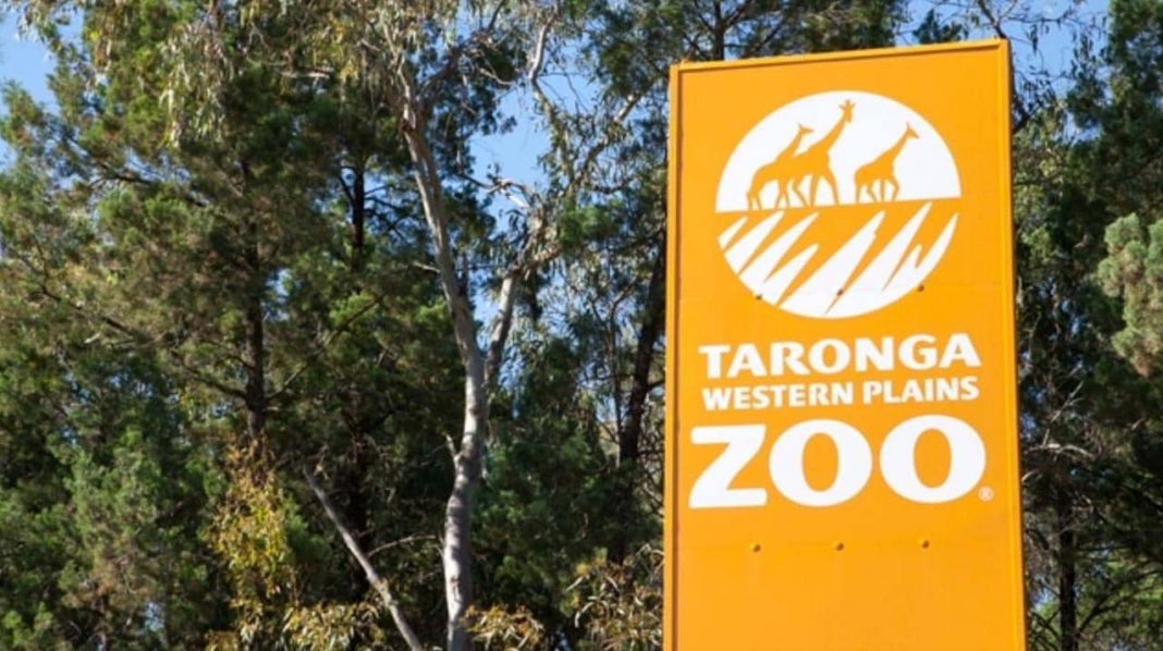 The guests went to Dubbo Western Plains Zoo. Picture SuppliedSourceNews Corp Australia