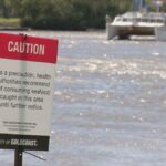 8.A major sewage spill along the Albert River is being labeled the Gold Coast’s worst environmental disaster. (9News)