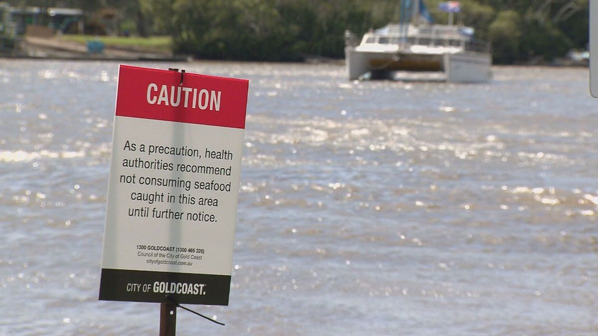 A major sewage spill along the Albert River is being labeled the Gold Coast's worst environmental disaster. (9News)