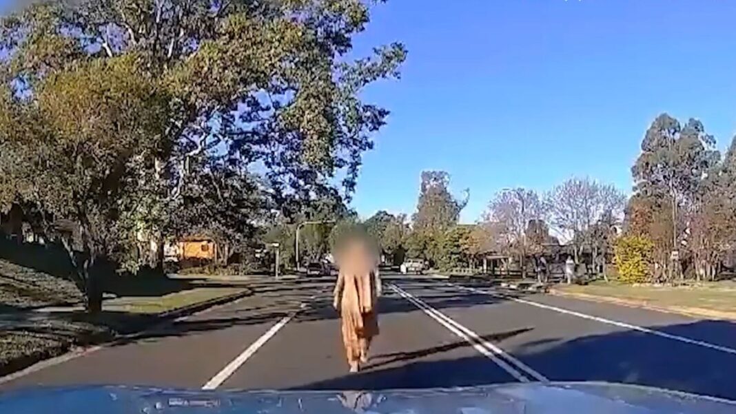 Dashcam footage posted to Reddit has captured the interaction at Quakers Hill in the city's north-west last week. (Reddit)