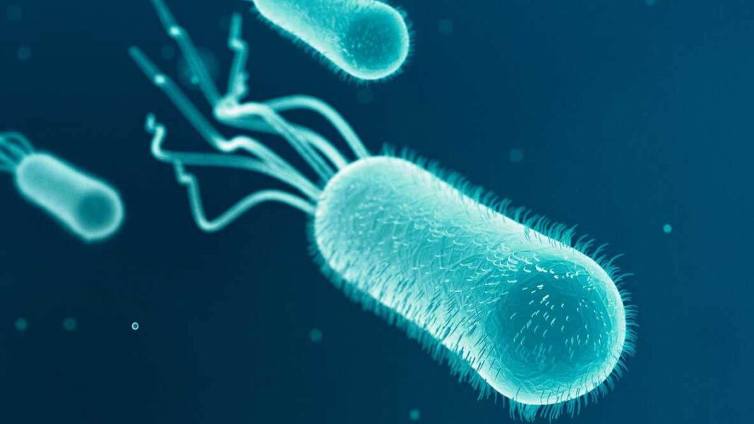 E. coli in drinking water indicates it may be contaminated with faeces. (iStock)