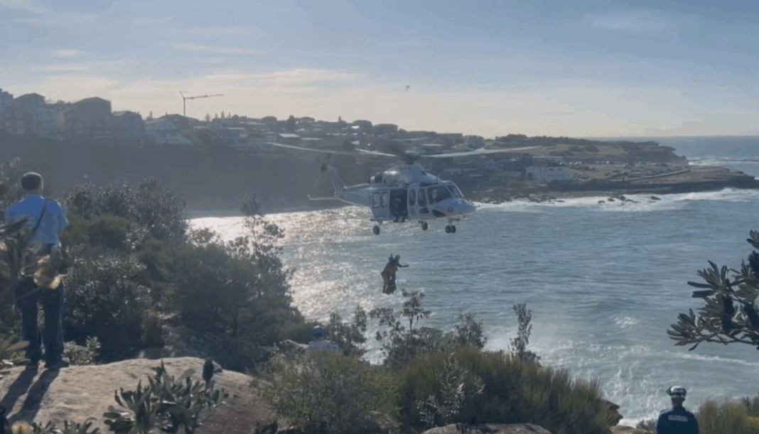 The experienced swimmers found themselves in trouble in rough seas in Sydney's eastern suburbs. (9News)