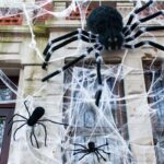 15.Synthetic cobweb Halloween decorations pose a danger to animals, it’s been warned. (Getty ImagesiStockphoto)_9news