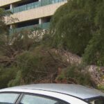 25.Strong winds and storms forecast for Victoria tomorrow could topple entire trees. (Nine)
