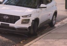 시드니 동부 바우스클루스에서 차량 연쇄 충돌 및 주택 침입 사건 발생 Police were told a car had smashed into several vehicles before the driver fled on foot. (9News)
