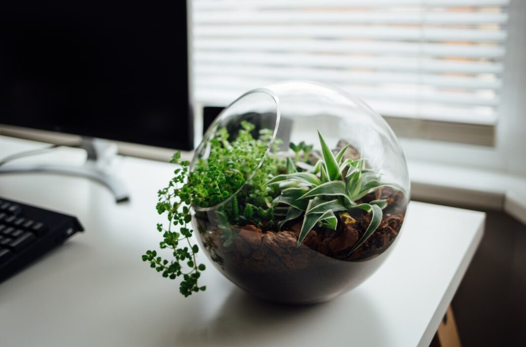 nislsen ramon_unsplash