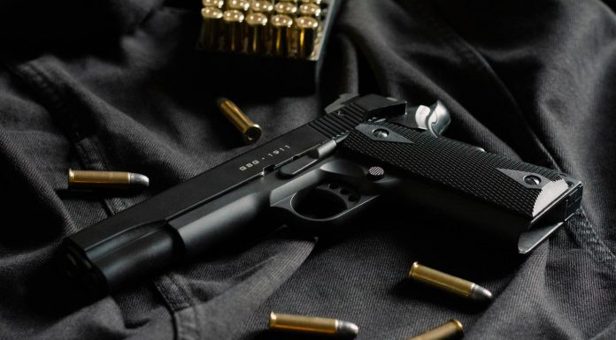 NSW주 시민 8명중 1명꼴 총기소유