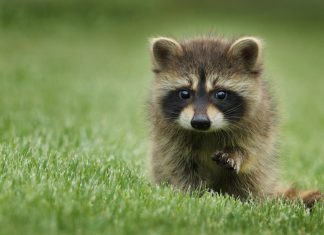 스트레스를 최대 50%까지 줄일 수 있는 방법