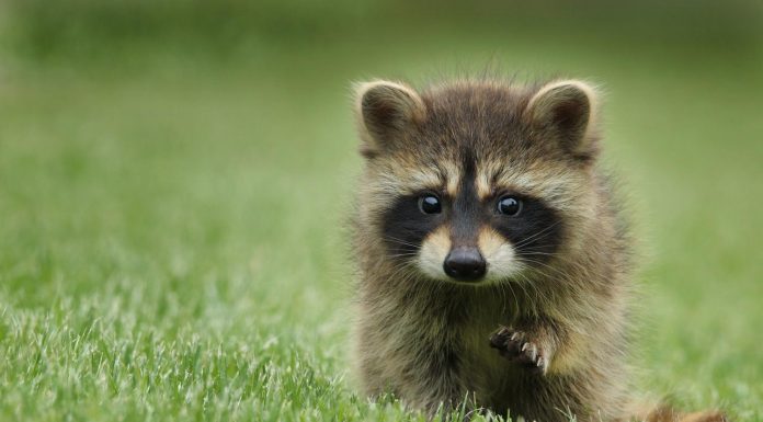 스트레스를 최대 50%까지 줄일 수 있는 방법