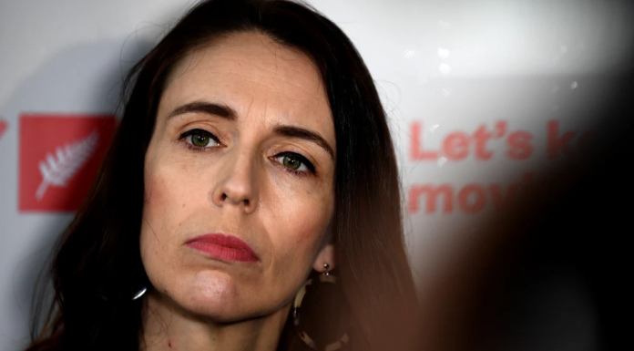 뉴질랜드-호주 여행 자유화 크리스마스 선물