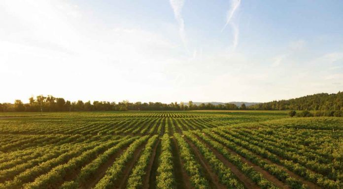 호주 실업 청년에 ‘보너스 수당 혜택’ 일손 창출