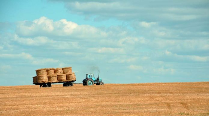 이탈리아, 무급 구인공고에 3천명 몰려