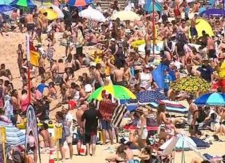 연휴주말 본다이 비치 초만원