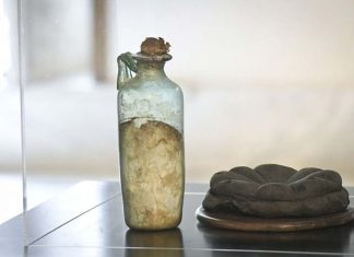 폼페이, 현존하는 가장 오래된 올리브유 발견