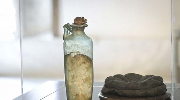 폼페이, 현존하는 가장 오래된 올리브유 발견