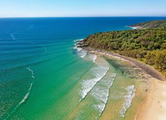 시드니, 멜번른에서 코로나 청정지역 선샤인 코스트로 이동