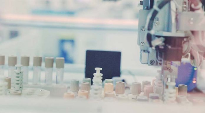 한국, 미세플라스틱 분해 능력 가진 신종 곰팡이, 세계 최초 발견