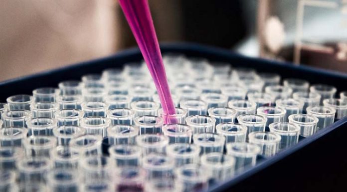 호주, 초저온 백신 수송망 확보