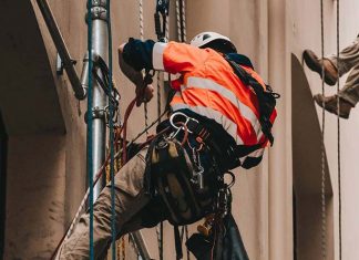 시드니 임시체류 근로 저 임금 노동 혹사
