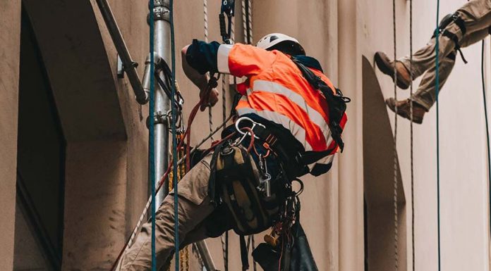 시드니 임시체류 근로 저 임금 노동 혹사