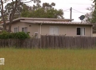 Rymill Road, Tregear에서 발생한 총기 살인 용의자 2명 도주 중