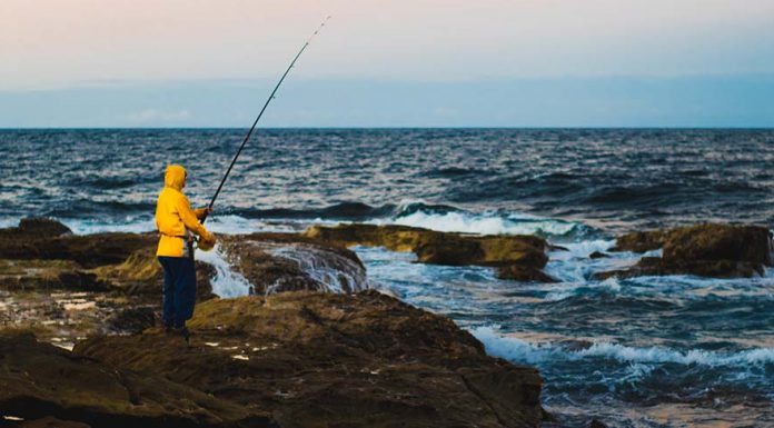 NSW 포트 켐블라 비치에서 바위낚시중 한국인을 포함해 3명이 숨져