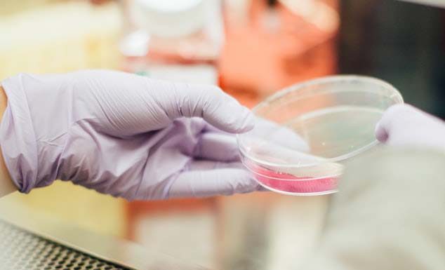 호주 지역감염 무행진에 백신 접종 22일 실시