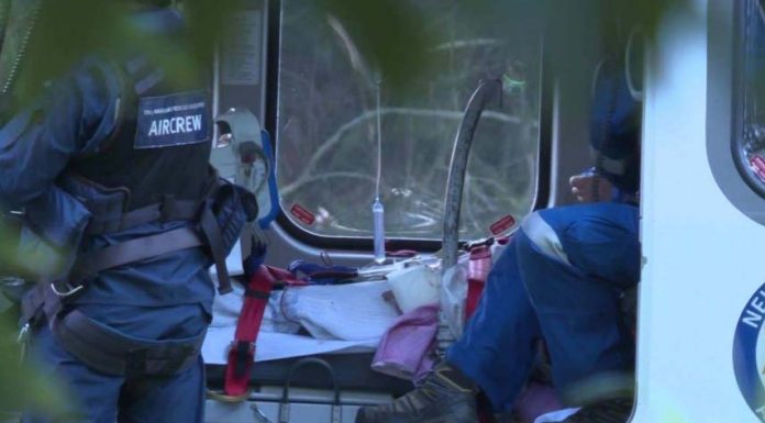 시드니 맥쿼리 호수에서 수십년만 처음으로 상어 공격