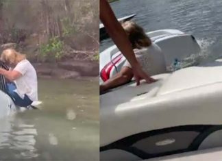 시드니 호크스베리강에 추락한 차량에 매달린 여성 극적 구조