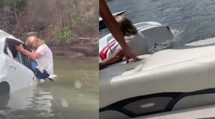 시드니 호크스베리강에 추락한 차량에 매달린 여성 극적 구조