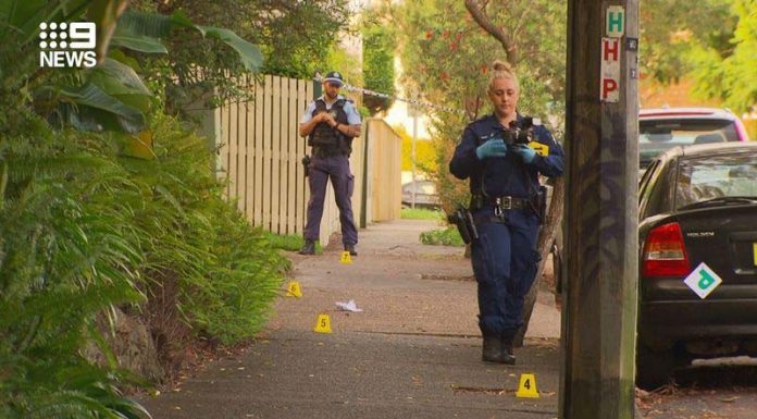 북부 해안 뉴트럴 베이에서 칼부림