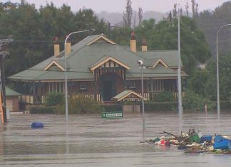 NSW 홍수를 피해 도망친 뱀, 거미 피난 떠난 집에서 발견 될 수 있어