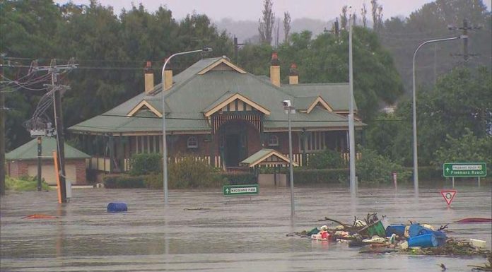 NSW 홍수를 피해 도망친 뱀, 거미 피난 떠난 집에서 발견 될 수 있어