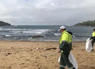 시드니 해변에서 코카인으로 추정되는 물체 발견