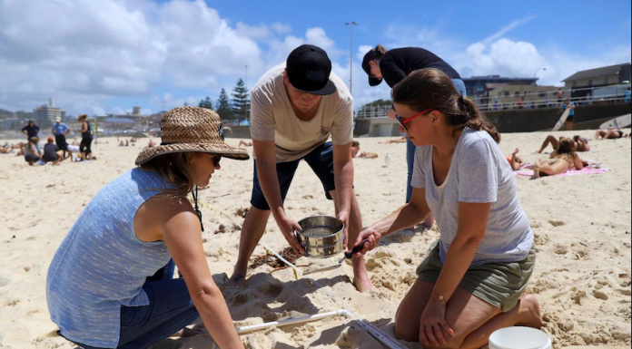과학자들이 밝힌 시드니 해변과 강에서 높은 수준의 미세 플라스틱 입자 발견