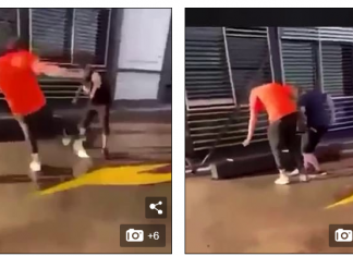 시드니 웰시베이에서 3명의 10대들 동물학대로 연행