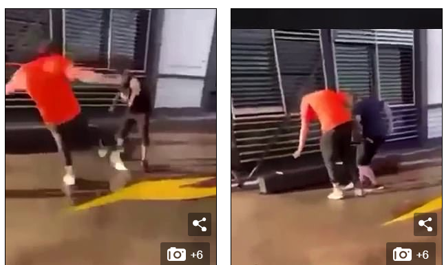 시드니 웰시베이에서 3명의 10대들 동물학대로 연행