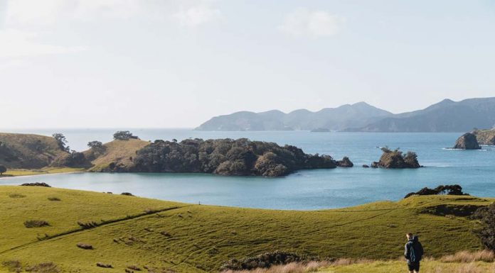 뉴질랜드 여행을 경유하여 다른 나라로 여행할 수 있을까?