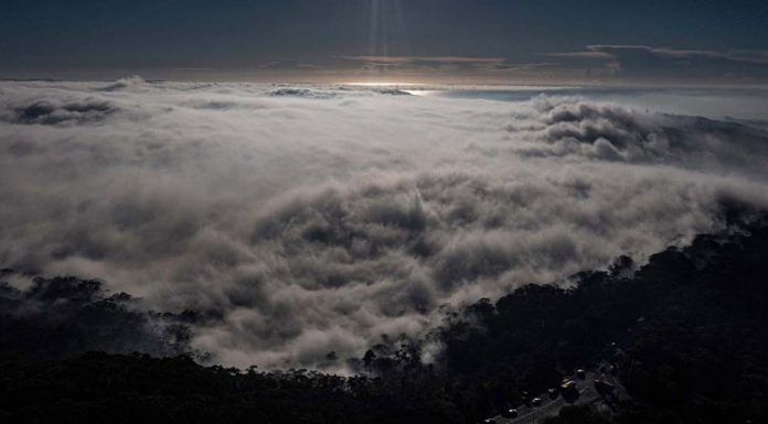 연기가 자욱한 가운데 안개로 덮혀진 시드니 안개 자욱한 시드니
