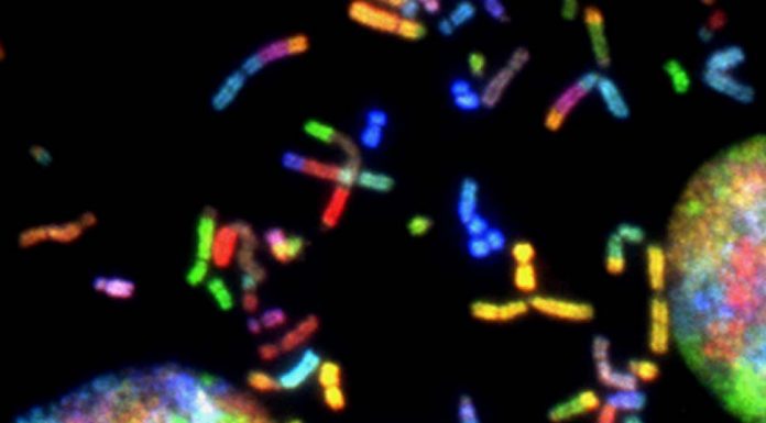 호주 국가 암 검진 프로그램 네 번째 – 간암 호주 암 건강예방