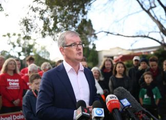 박사학위 아시안 인텔리 로컬 청년 일자리 가로채