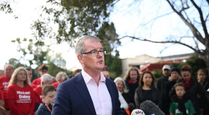 박사학위 아시안 인텔리 로컬 청년 일자리 가로채