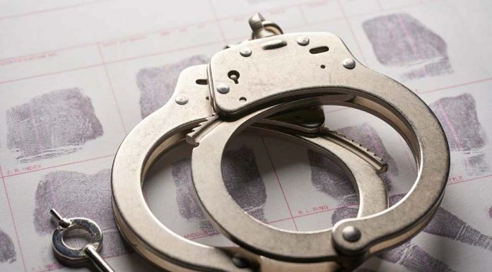 본다이에서 58세 남성, 여아 성추행으로 구속 Arrest