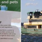 Sydney locals are protesting the enforcement of rules that say their pet dogs cannot travel with them on ferries unless they are in a bag, box, or carrier. (FacebookJames Alcock)
