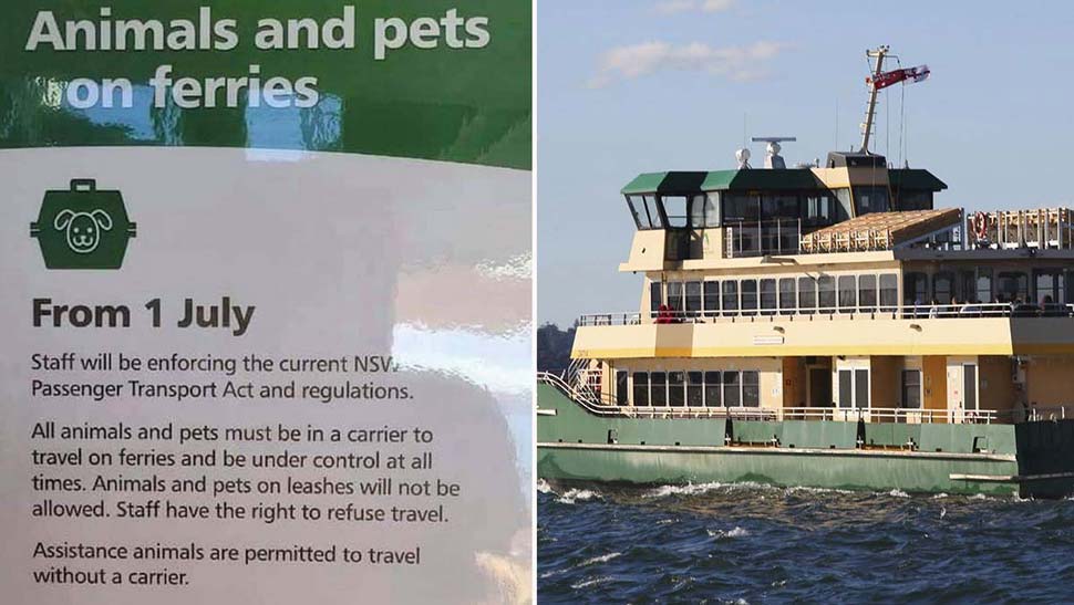 Sydney locals are protesting the enforcement of rules that say their pet dogs cannot travel with them on ferries unless they are in a bag, box, or carrier. (Facebook/James Alcock)