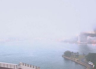 37년만의 추위와 짙은 안개에 가려진 하버브릿지 Thick fog blanketed Sydney this morning, which affected roads and transport services. (9News)