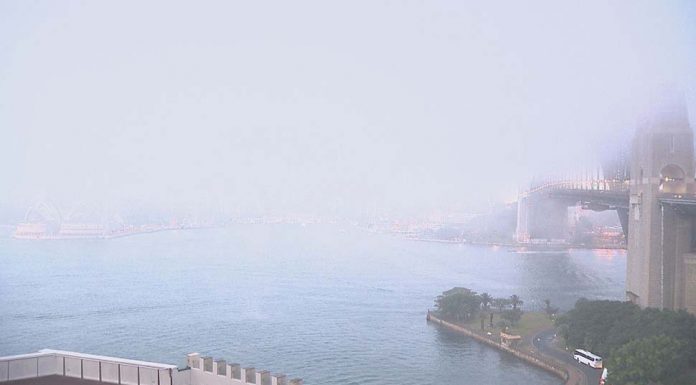 37년만의 추위와 짙은 안개에 가려진 하버브릿지 Thick fog blanketed Sydney this morning, which affected roads and transport services. (9News)