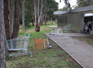 컴벌랜드 카운슬, 버려진 슈퍼마켓 카트 단속 Woolworths-has-committed-to-regular-fortnightly-collections-of-dumped-trolleys.(ABC-News-Tony-Ibrahim)