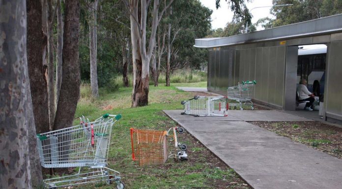 컴벌랜드 카운슬, 버려진 슈퍼마켓 카트 단속 Woolworths-has-committed-to-regular-fortnightly-collections-of-dumped-trolleys.(ABC-News-Tony-Ibrahim)